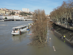 Cliquez sur la vignette pour l'agrandir